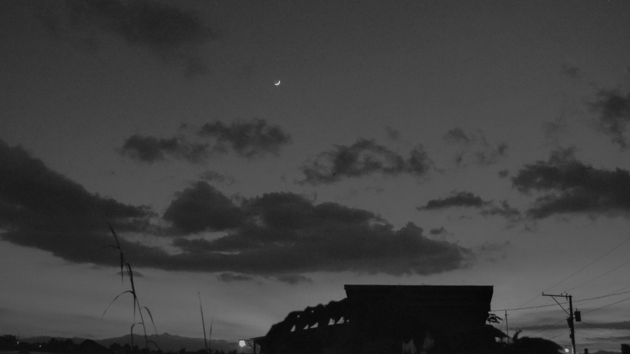 the house on the left